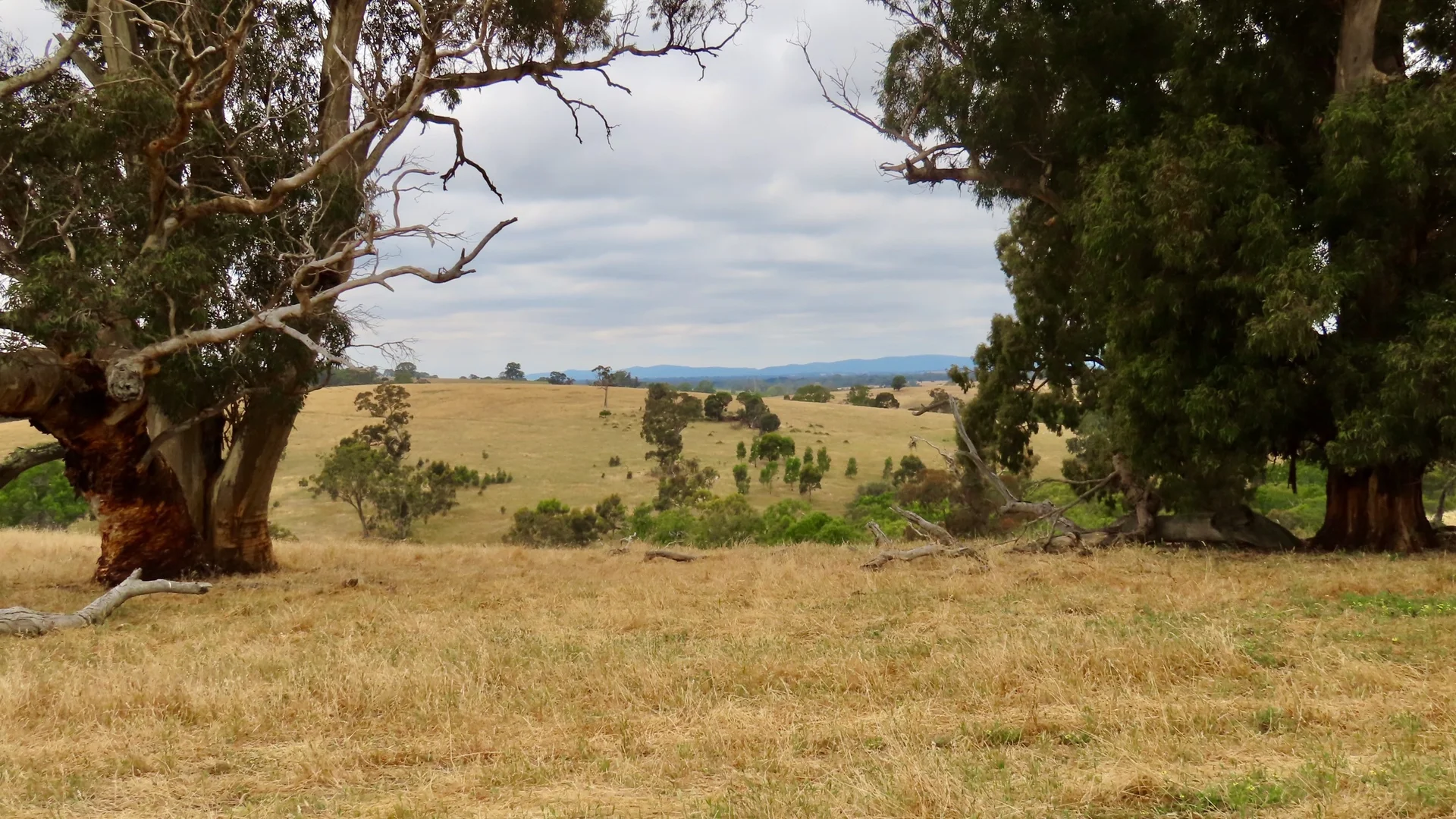 Additional image 8 of 596 Mostyn Lane, Balmoral VIC 3407