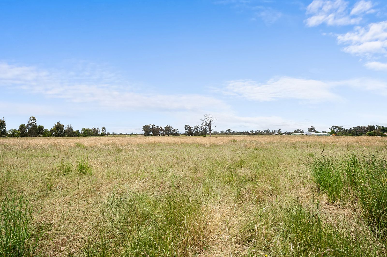 85 Packett Road, Toongabbie VIC 3856 Rural Lifestyle Property for Sale