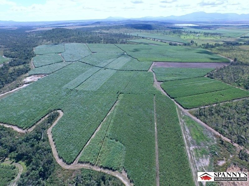 159 Thorogood Road, Kelsey Creek Property History & Address Research