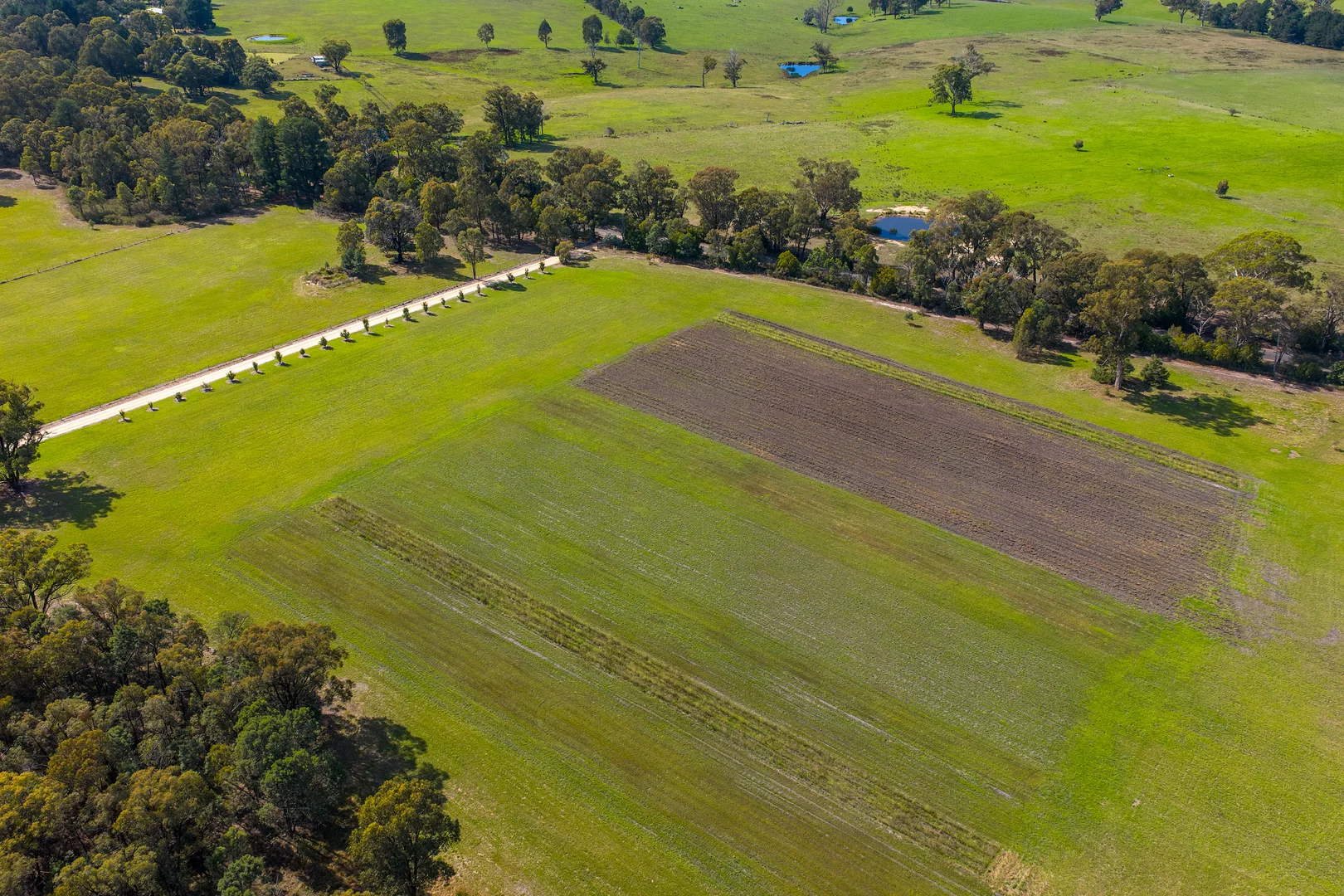 Additional image 15 of 185 McNamaras Road, Sarsfield VIC 3875