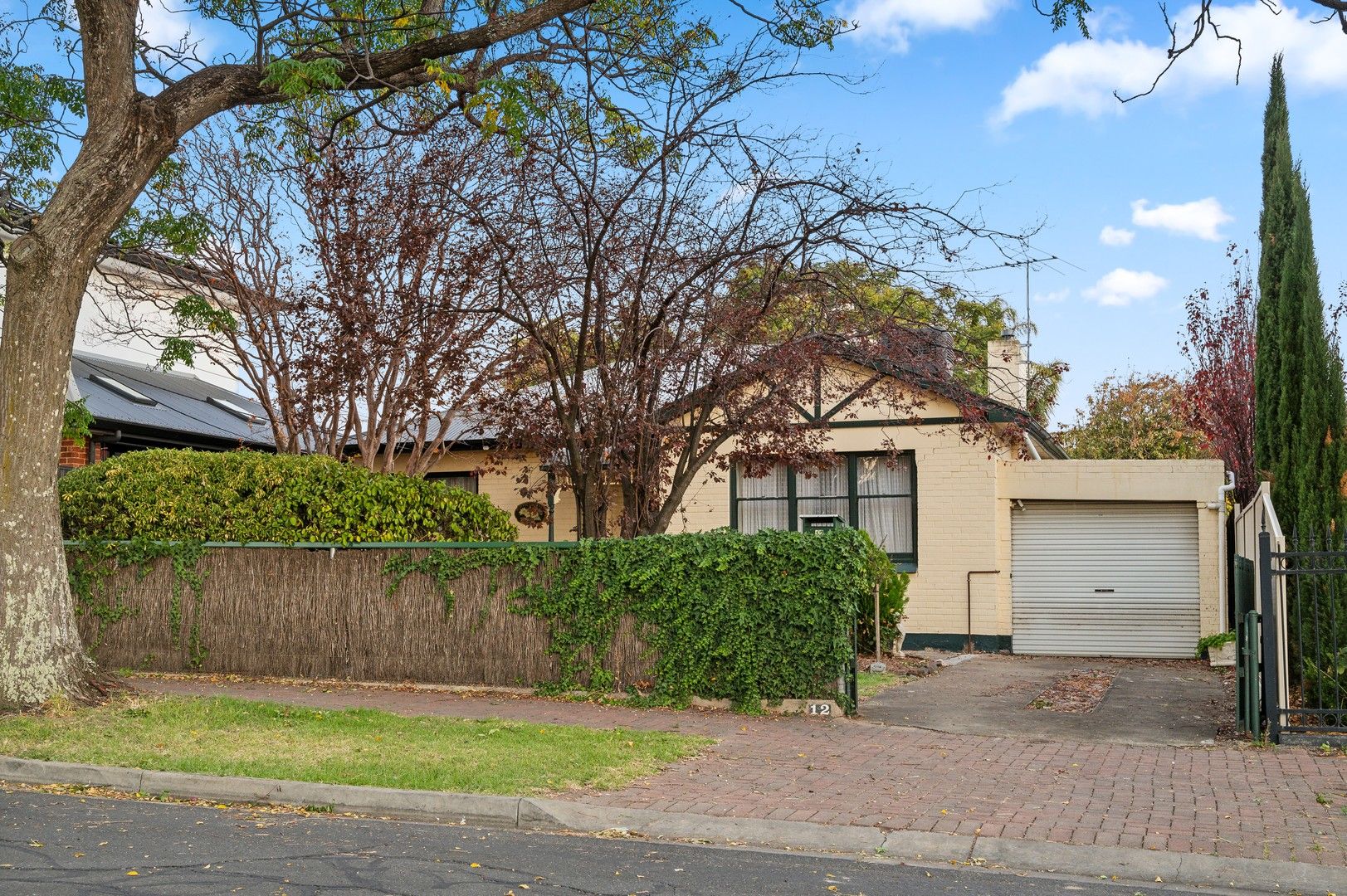 12 Cotham Avenue, Kensington Park SA 5068, Image 0