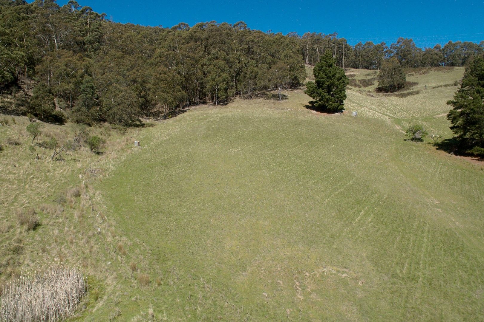 409 Collinsvale Road, Collinsvale TAS 7012, Image 2