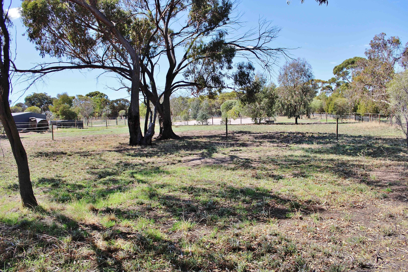 Additional image 6 of 18 COSTELLOE STREET, Wagin WA 6315