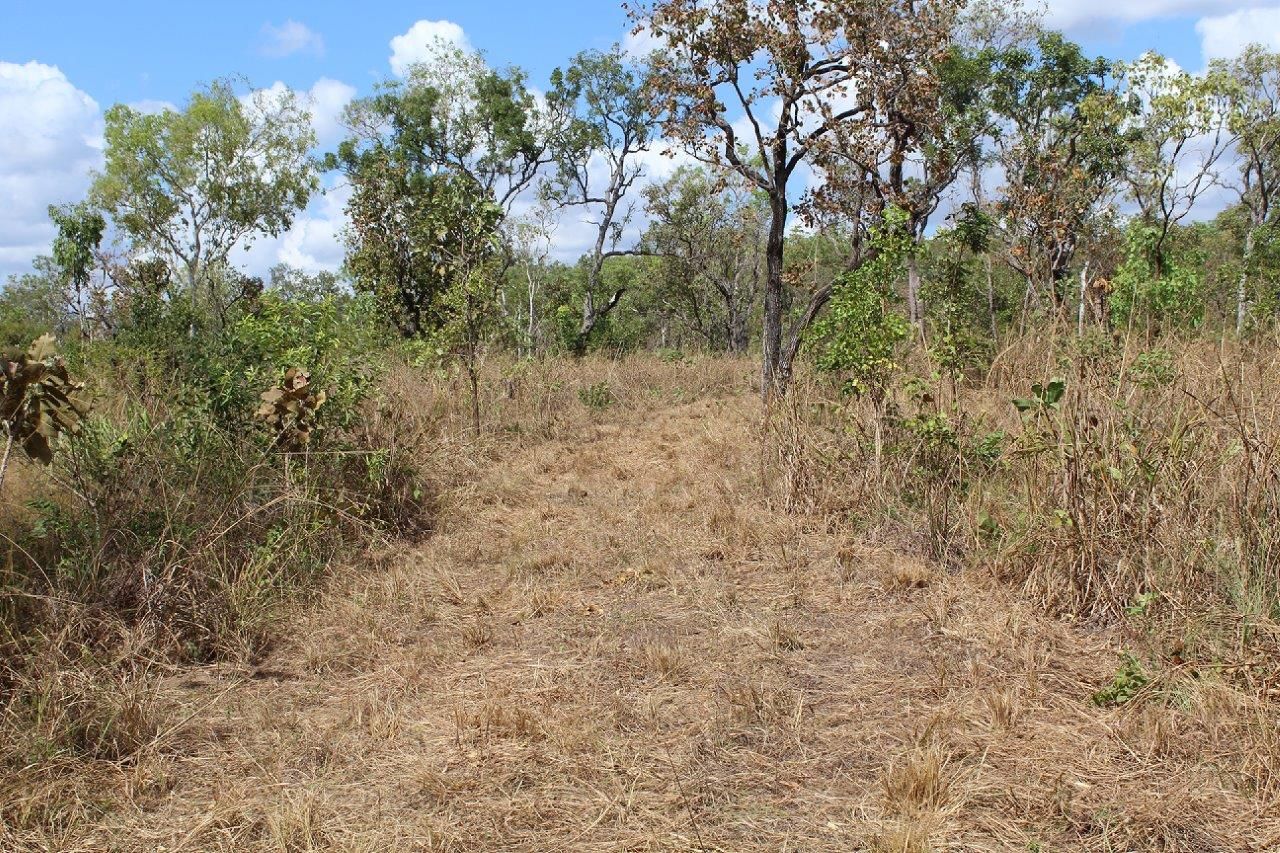 529 Owen Lagoon Road, Lake Bennett NT 0822, Image 1