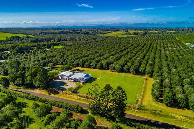 Picture of 80 Dalwood Road, DALWOOD NSW 2477