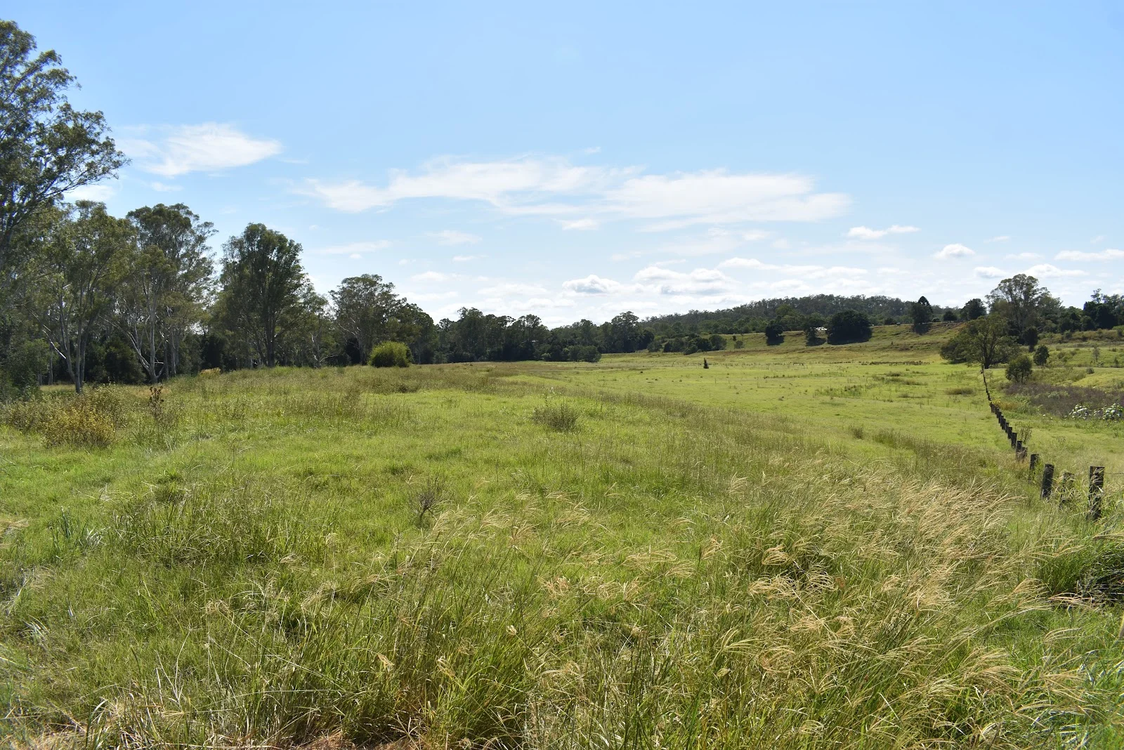 Additional image 13 of lot 103 Pidgeons Road, Tiaro QLD 4650