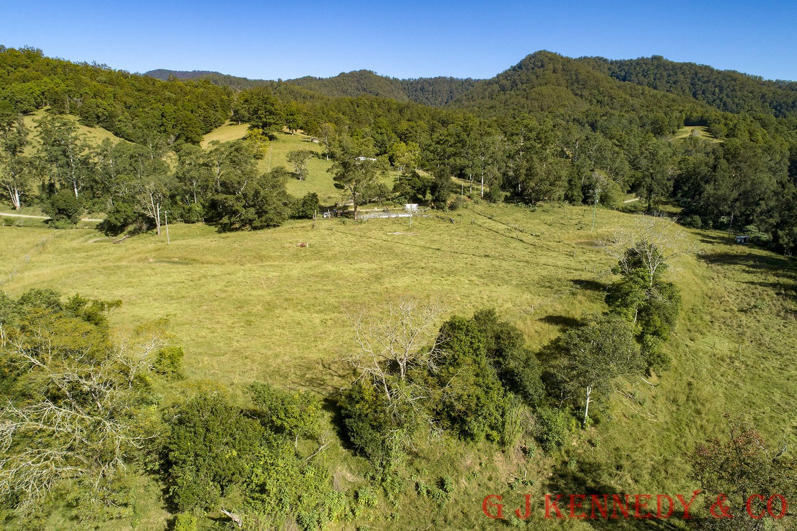 4319 Taylors Arm Rd, Burrapine NSW 2447, Image 1