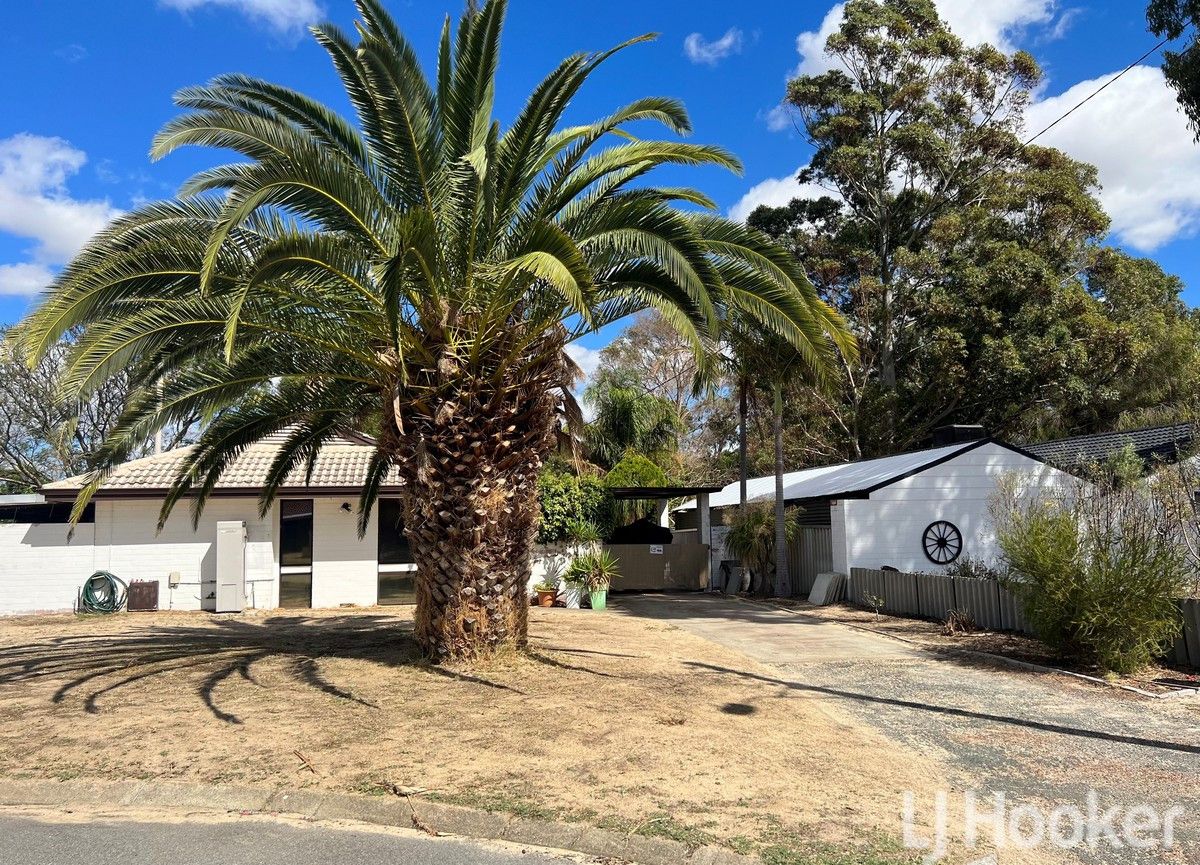 6 Kingia Place, Pinjarra WA 6208 House For Rent Domain