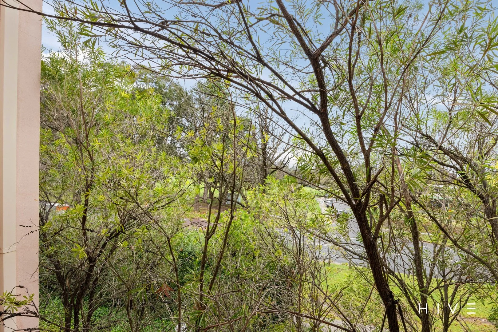 Image 14