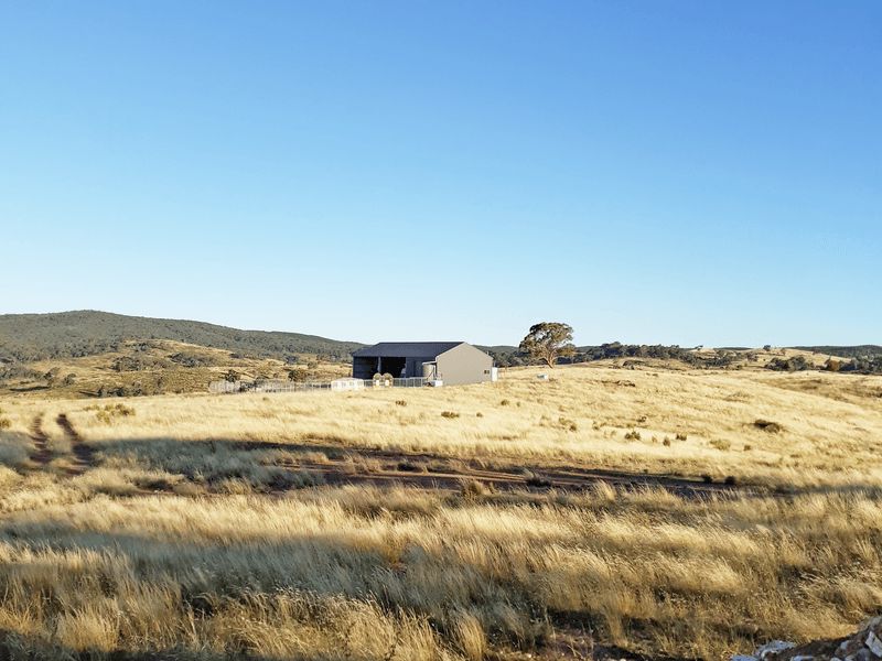 660 Kerrs Creek Road, Kerrs Creek NSW 2800, Image 1