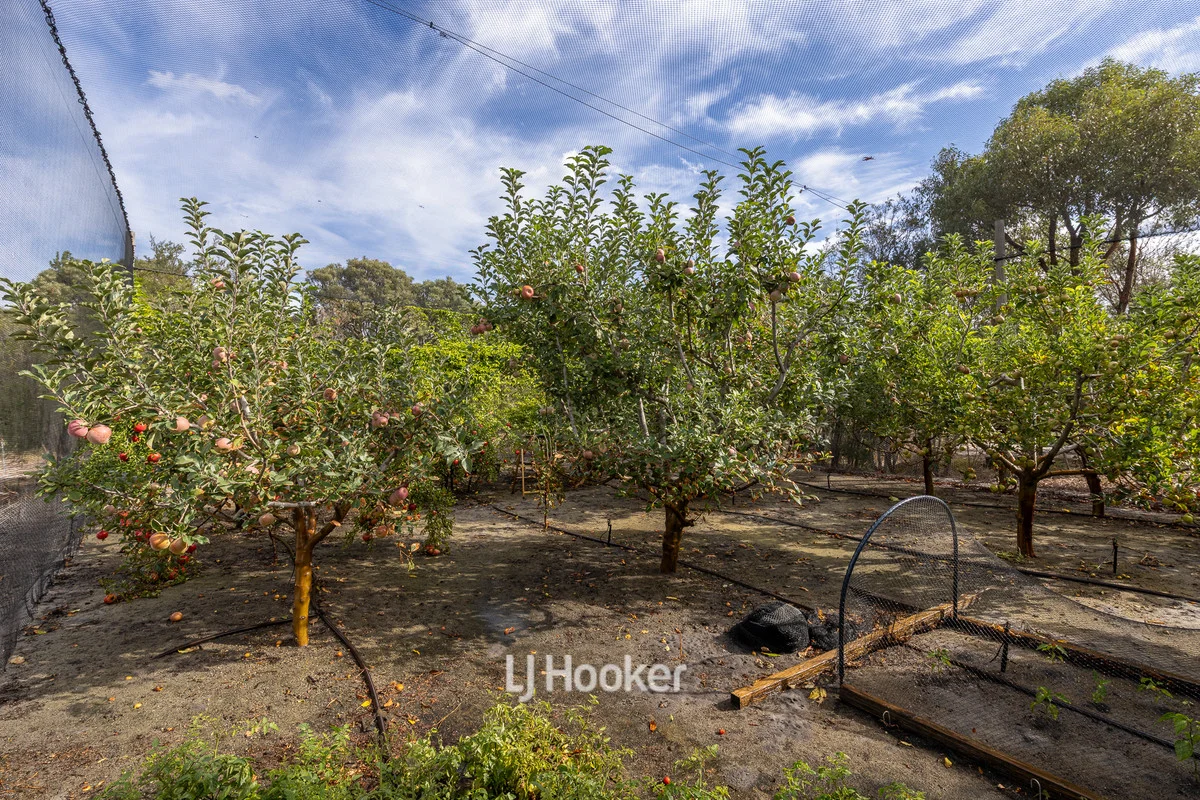 Additional image 33 of 6 Weller Loop, Leschenault WA 6233