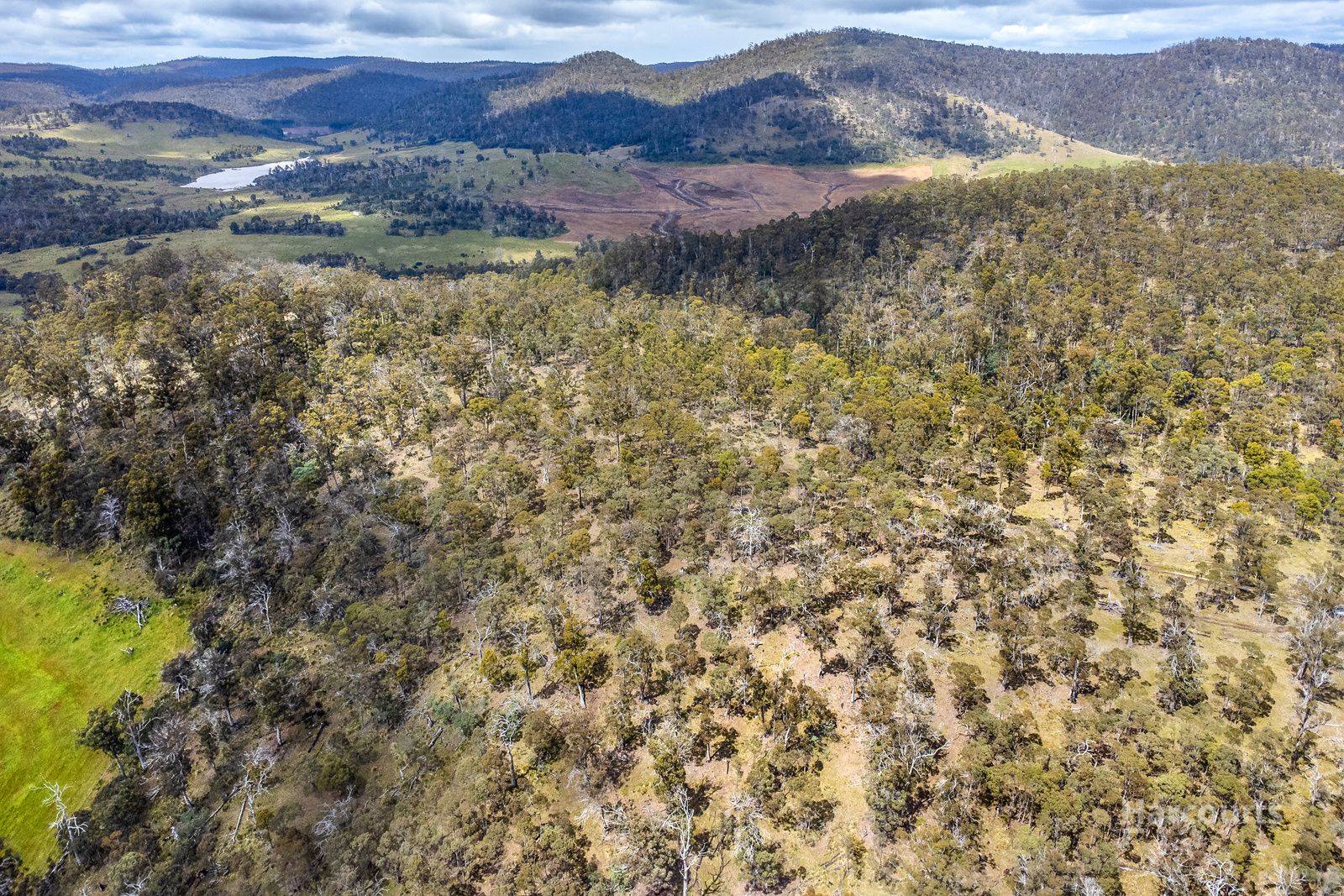 5008 Tasman Highway, Buckland TAS 7190, Image 2