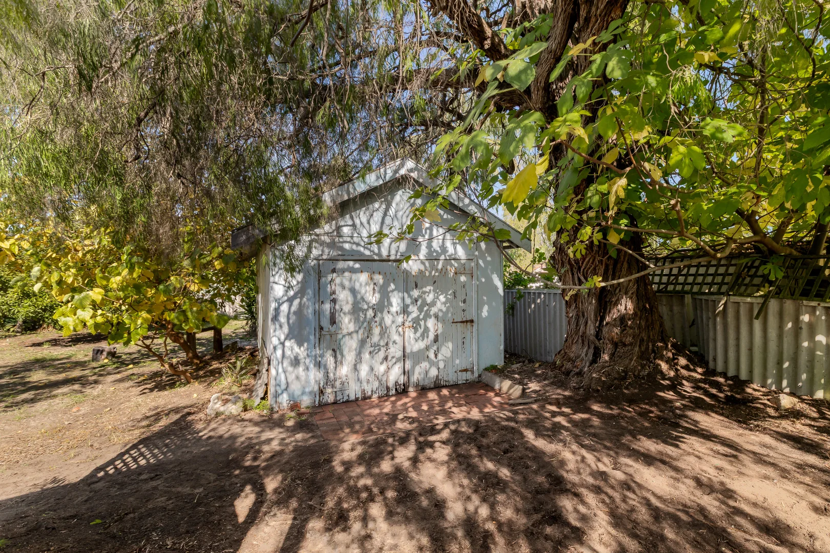 Image 10