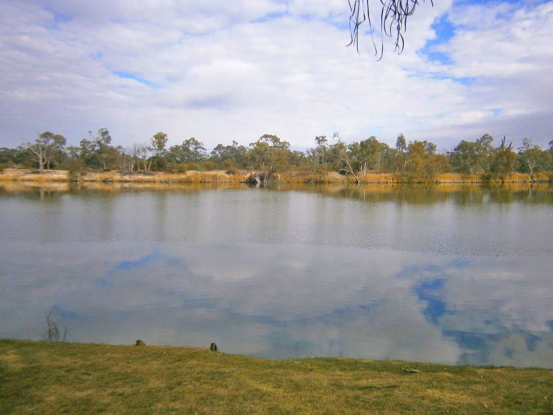 Lot 194 Scotts Creek, Morgan SA 5320, Image 0