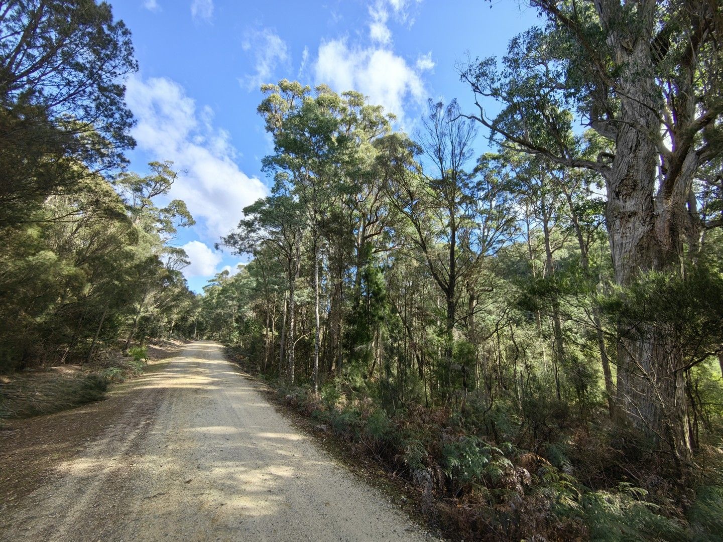 82 Branchs Creek Road, Harford TAS 7307, Image 0