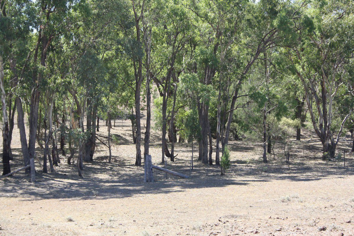 Lot 2 Luna Road, Oman Ama QLD 4352, Image 1