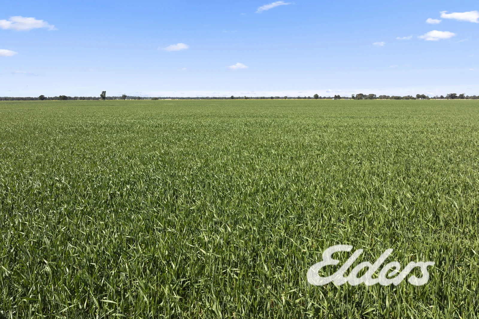 Additional image 37 of 235 Clearview Road, Savernake NSW 2646