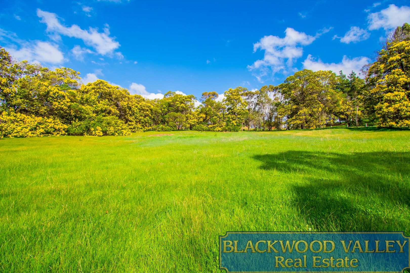 131 (Lot Proposed) Rokewood Hts, Bridgetown WA 6255, Image 0