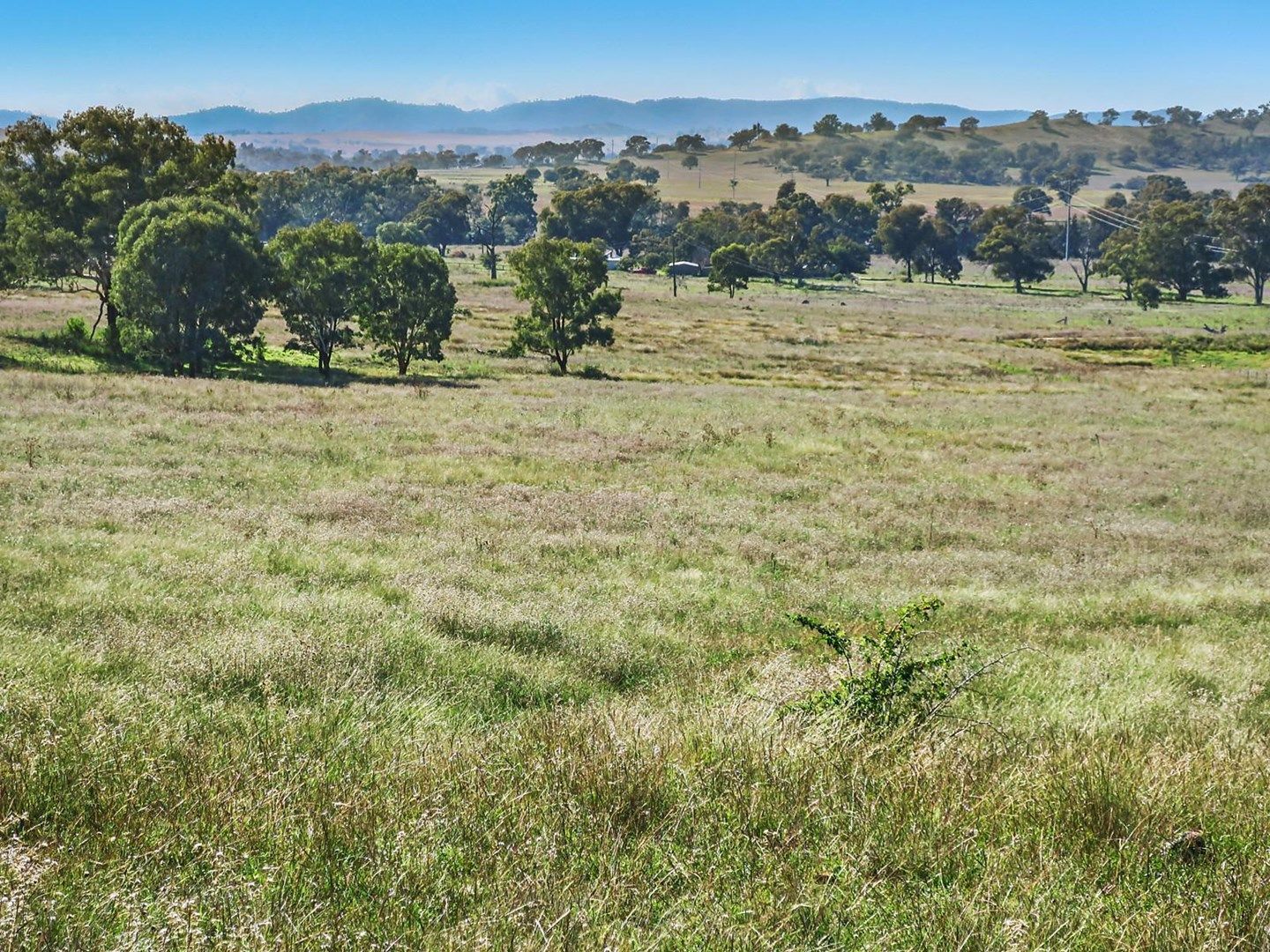 384 Uamby Road, Mudgee NSW 2850, Image 0