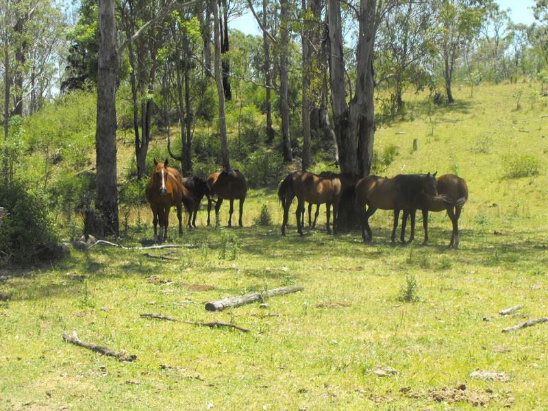 Lot 2 Harris Road, Pilton QLD 4361, Image 0