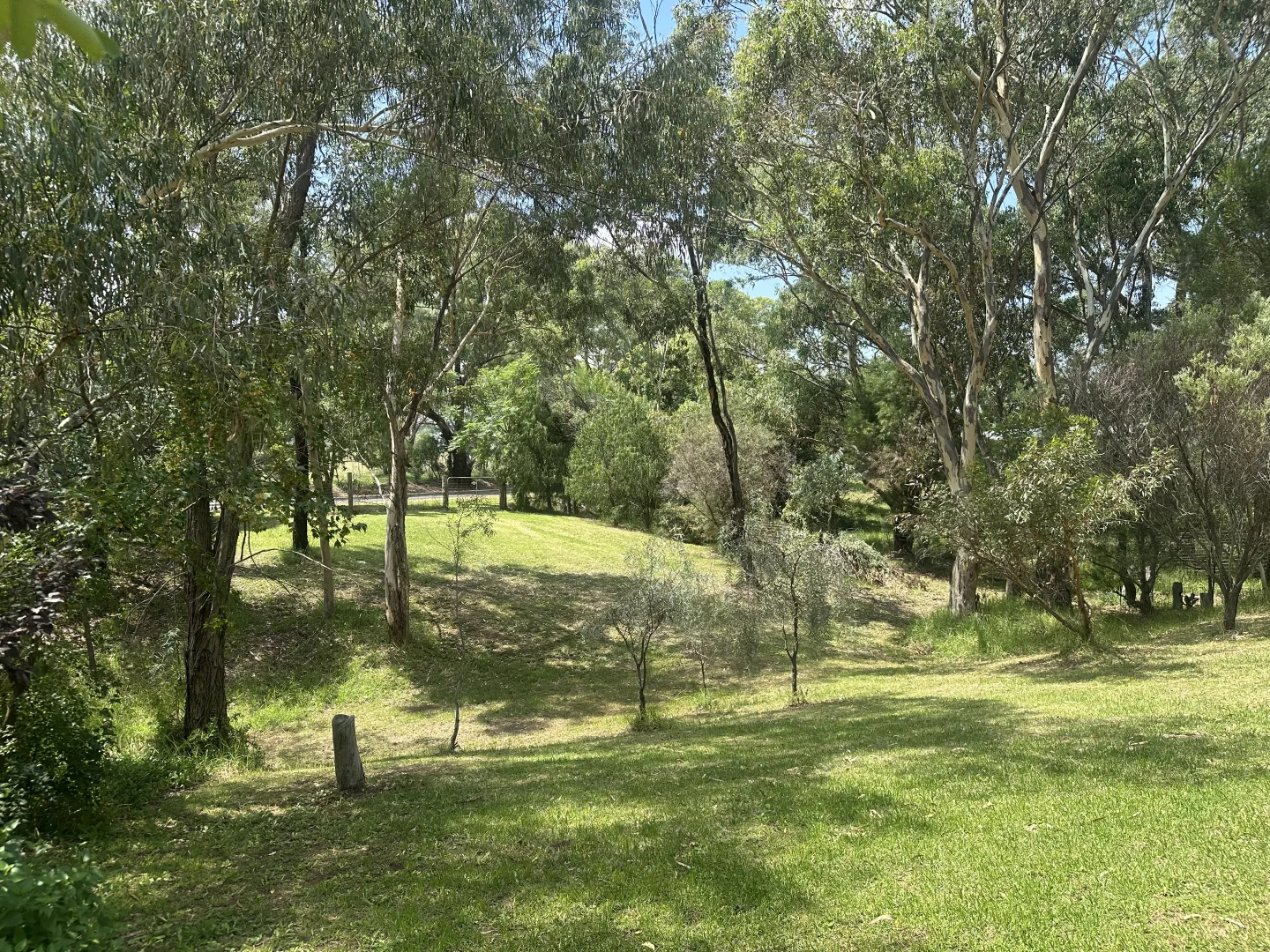 Image 8