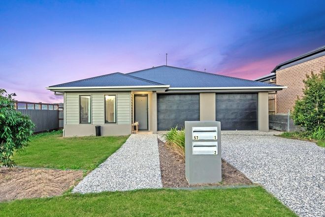 Picture of 1&2/57 Minerva Street, SOUTH RIPLEY QLD 4306