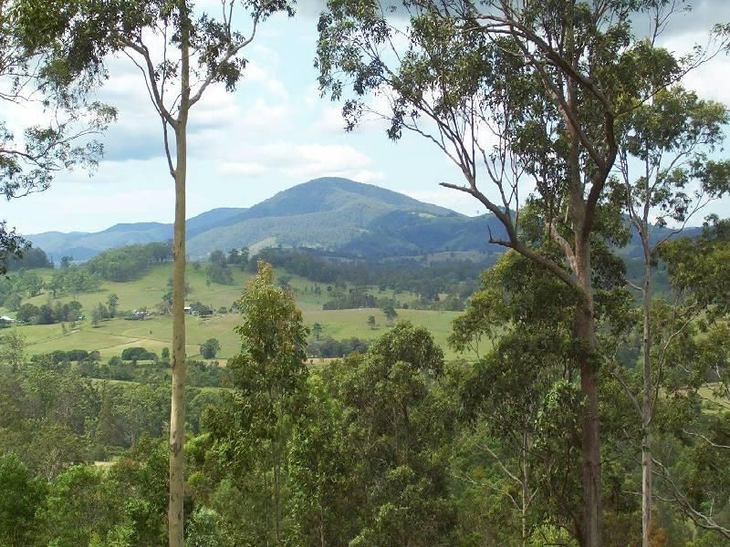 Charity Creek NSW 2424, Image 1