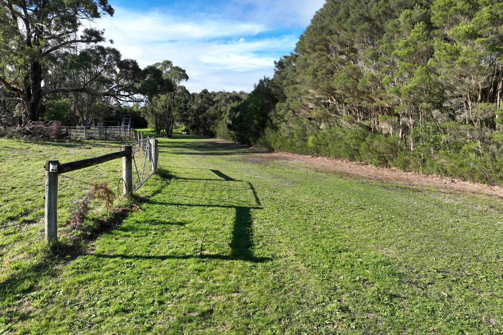 Image 15