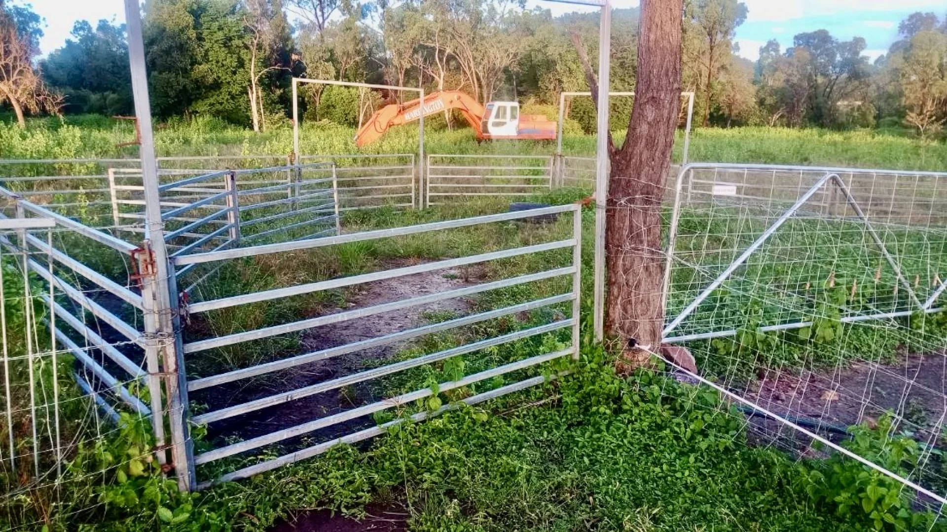 Additional image 15 of 22 Sawmill Road, Woodstock QLD 4816