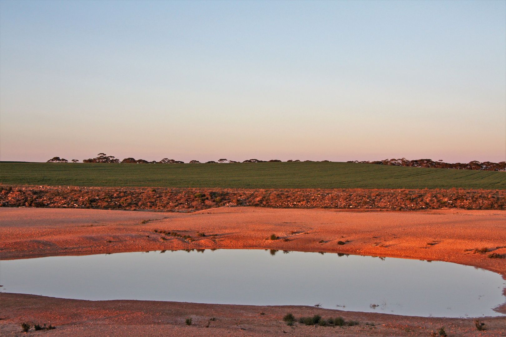 Sec 35 & 411 Maggea Road, Waikerie SA 5330 House for Sale Domain