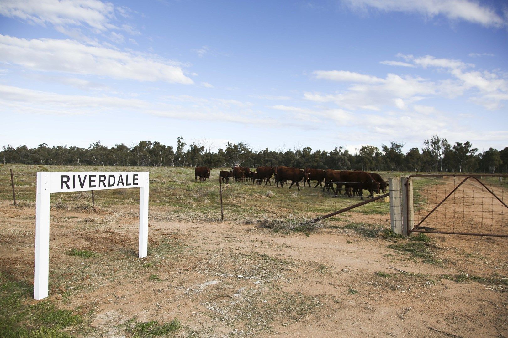 'Riverdale' Murrumbidgee River Road, Carrathool NSW 2711, Image 0