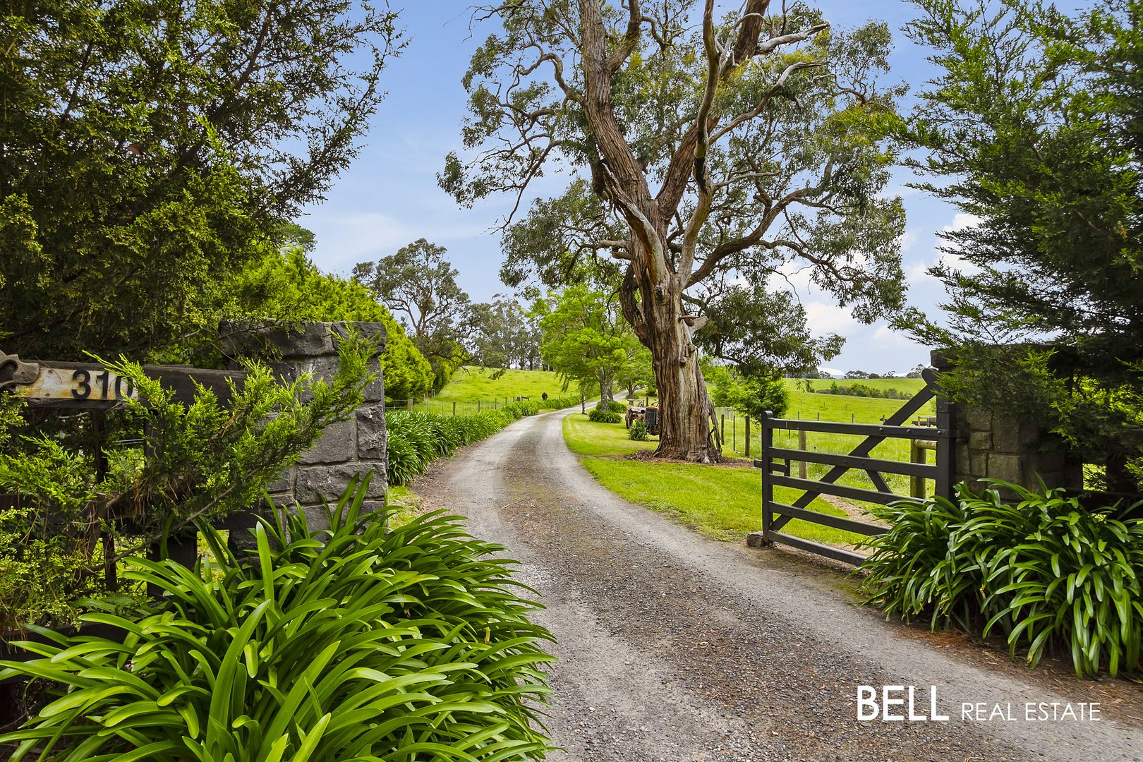 310 Beenak Road, Yellingbo VIC 3139, Image 1