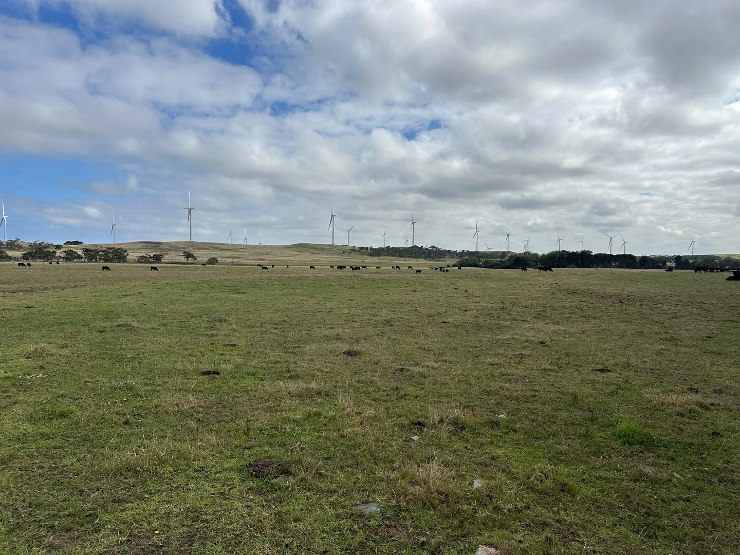 Additional image 7 of 1300 Buffalo Waratah Road, Tarwin Lower VIC 3956