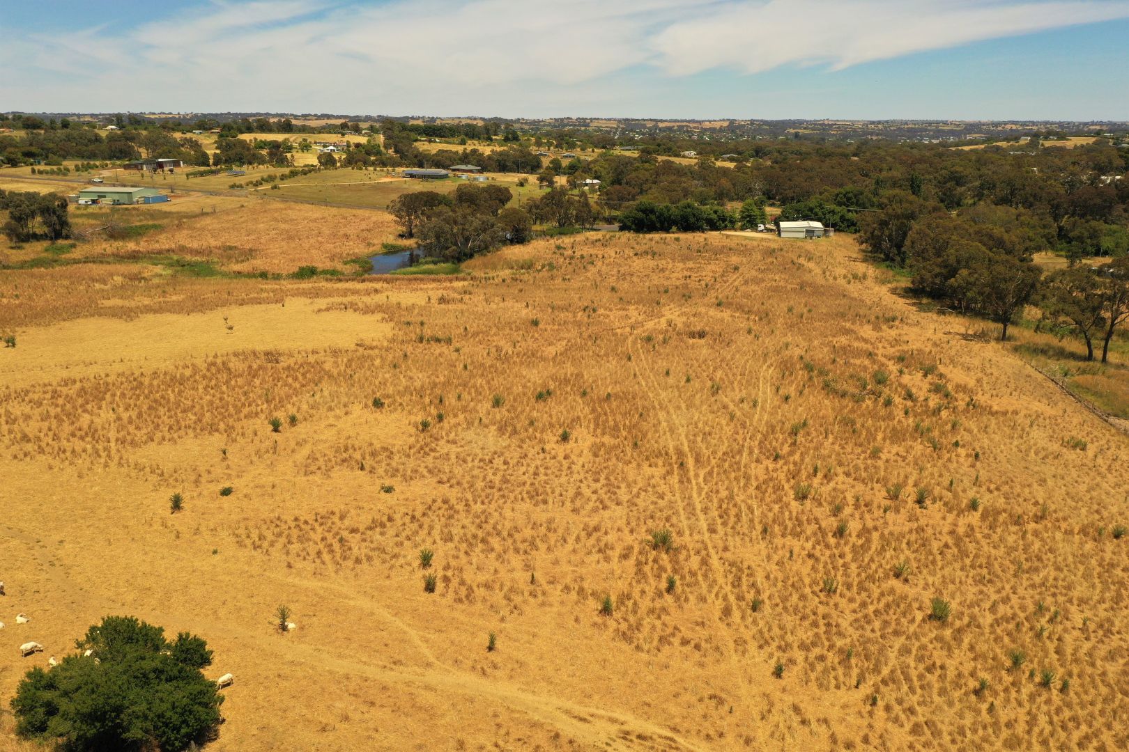 Lot 1211/1221 & 1222 Bourkes Lane, Young NSW 2594 Domain