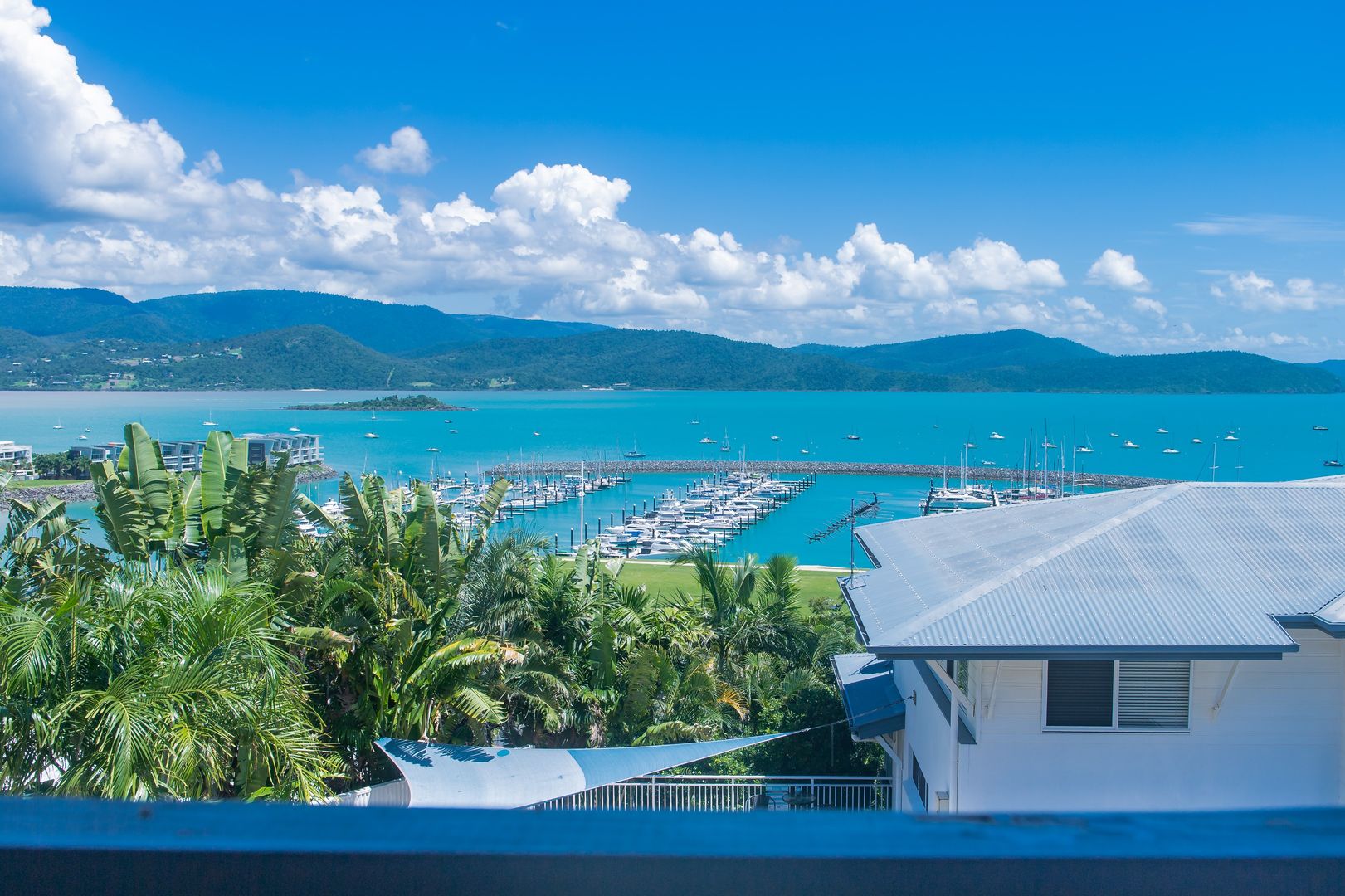 11/2 Lewis Street, Airlie Beach QLD 4802, Image 1