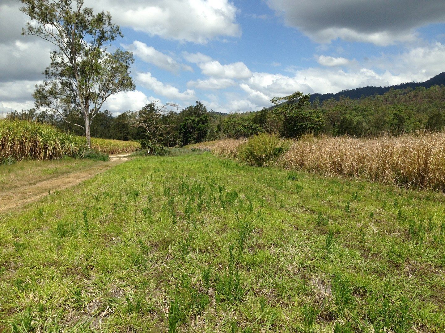 LOT139 Mackay-Eungella Road, NETHERDALE QLD 4756, Image 2