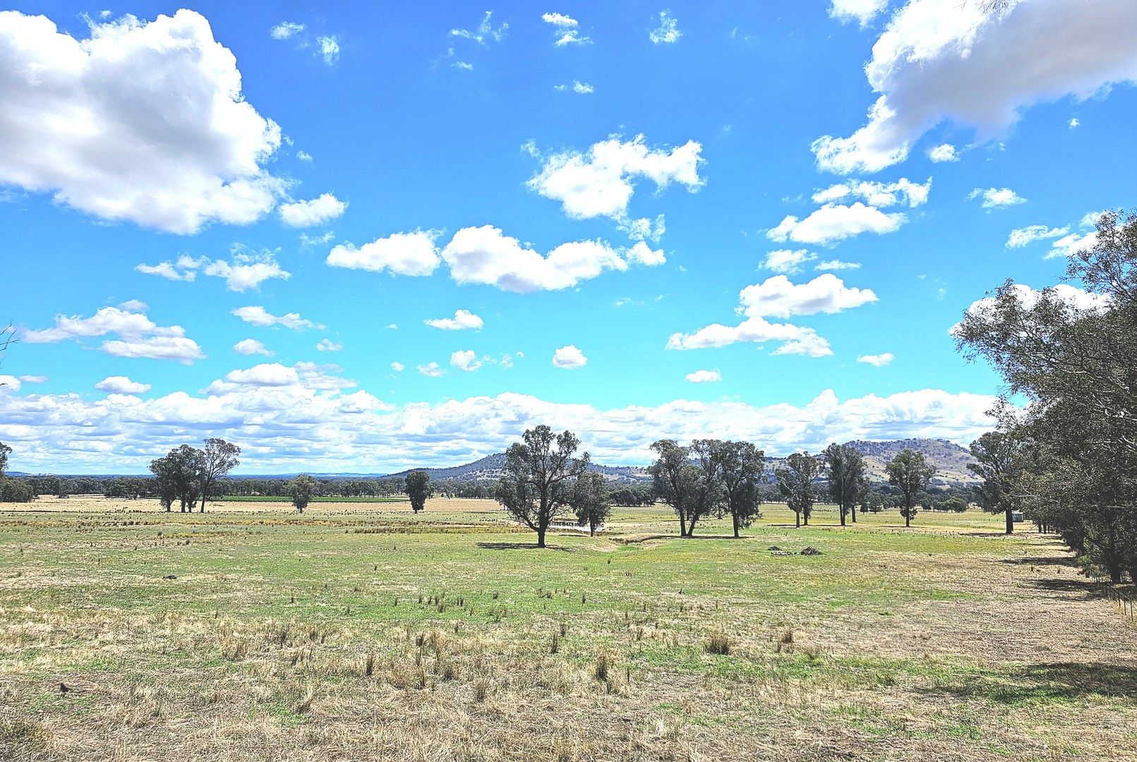 2 Chiltern Yackandandah Road, Indigo Valley VIC 3688 Vacant Land for Sale