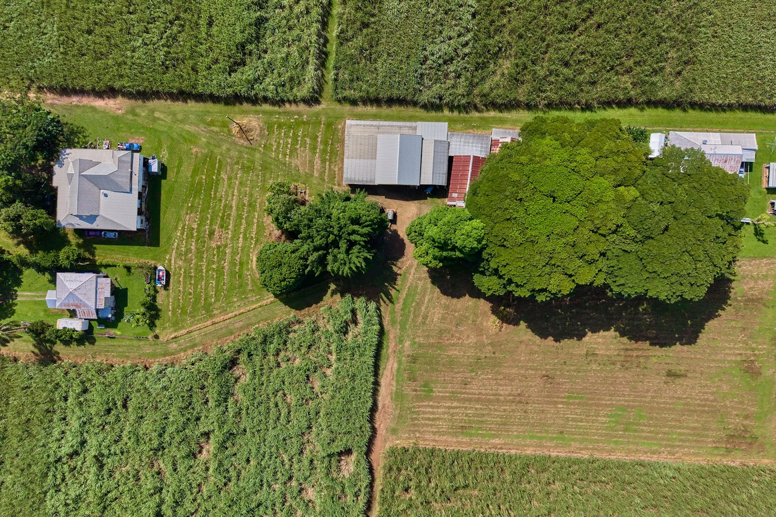 Additional image 5 of 280 Highleigh Road, Gordonvale QLD 4865