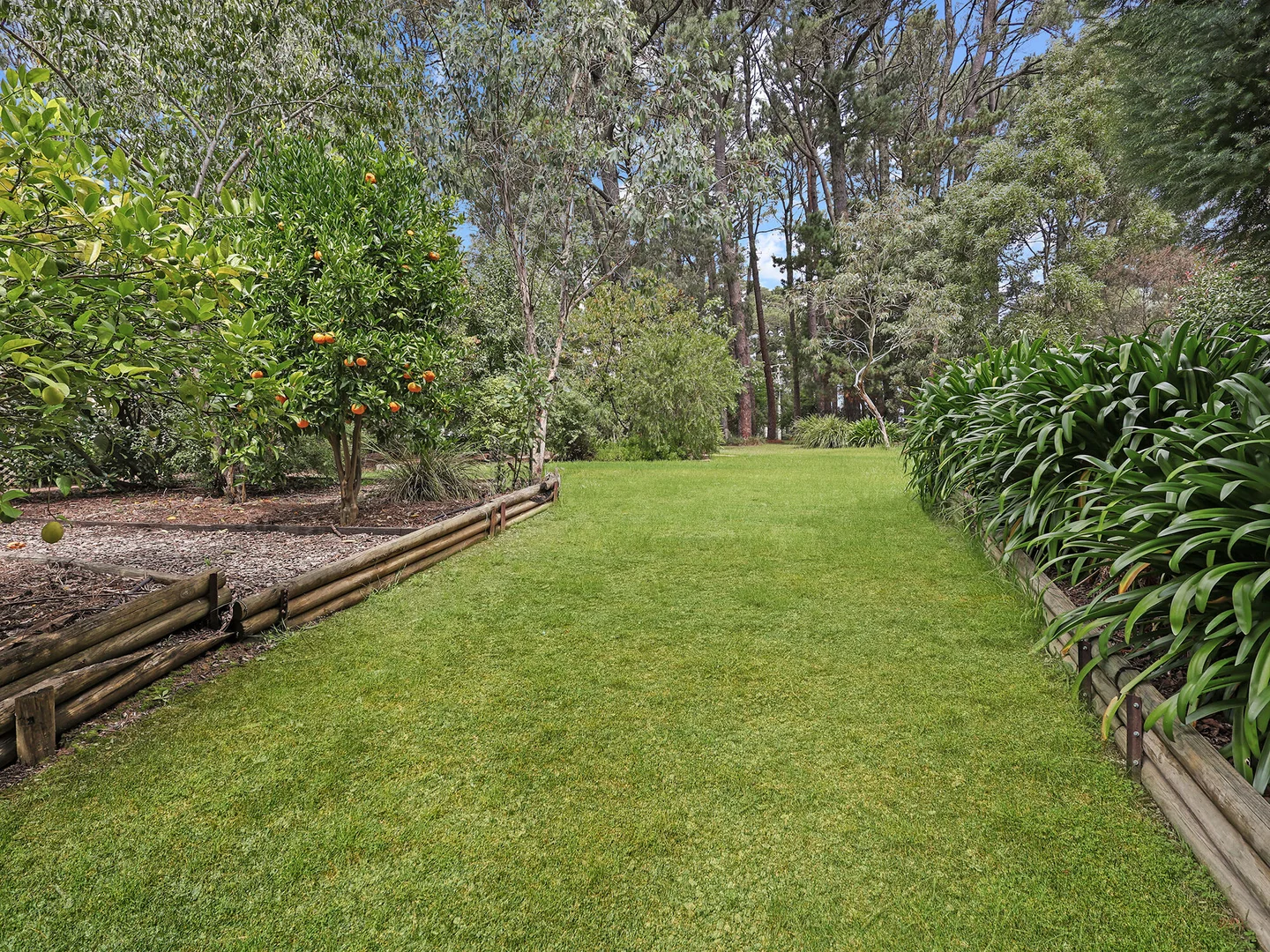 Image 35