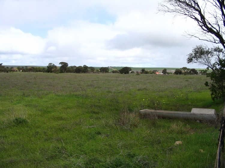 Lot 218, 219, 228 Mickey Flat Road, Curramulka SA 5580, Image 2