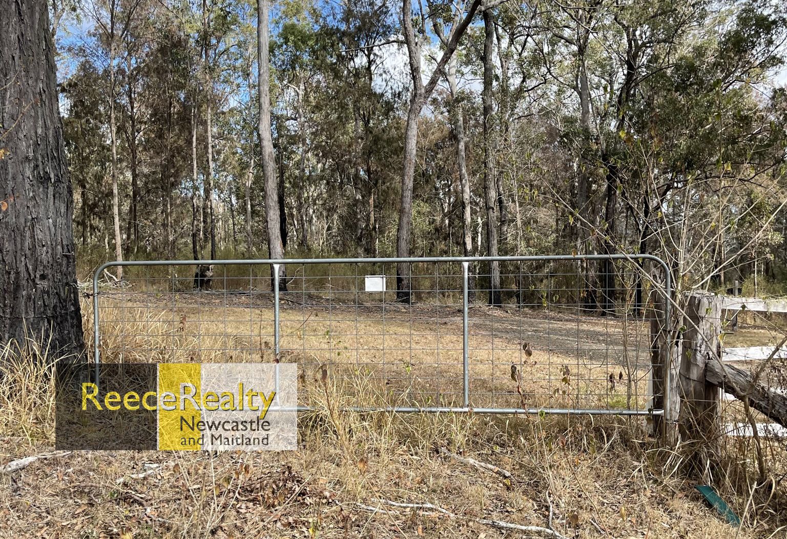 Lot 597 Willi Willi Road, Temagog NSW 2440, Image 1