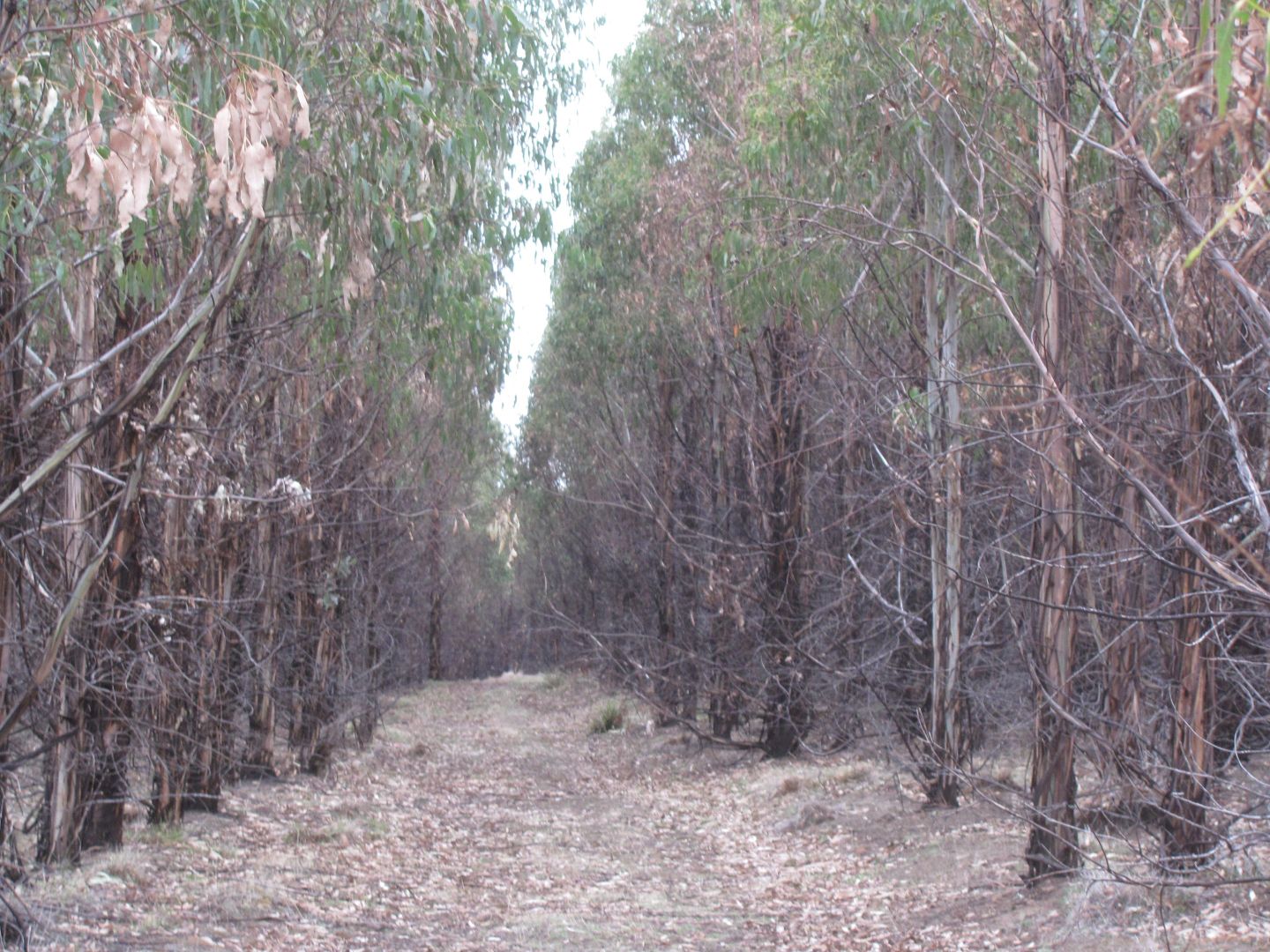 "Trap Hut" Meadsfield Road, Bothwell TAS 7030, Image 1