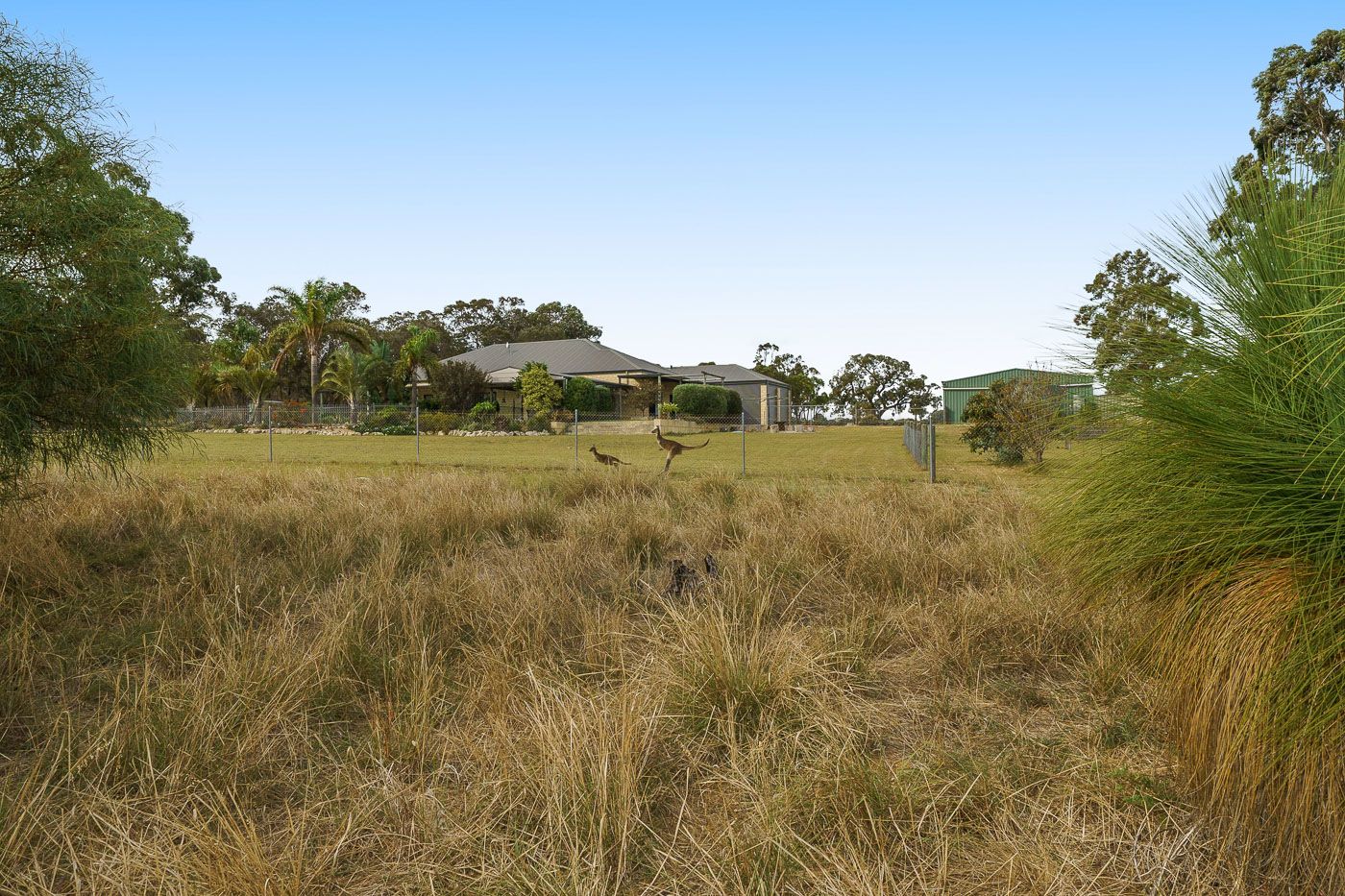 295 Karoborup Road, Carabooda WA 6033, Image 1