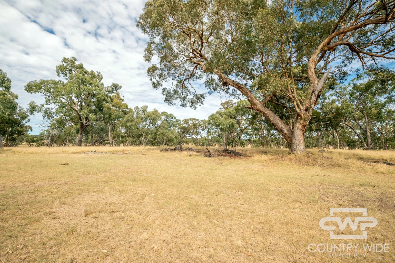 Additional image 21 of 873 Polhill Road, Wellingrove NSW 2370