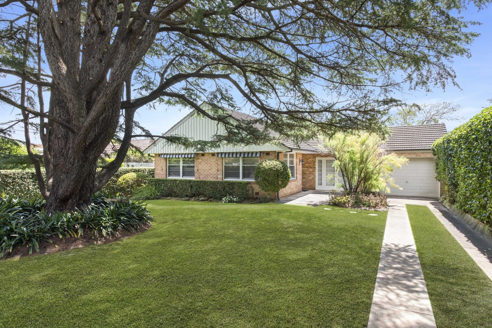 8 Moorefield Avenue, Hunters Hill NSW 2110 House For Rent Domain