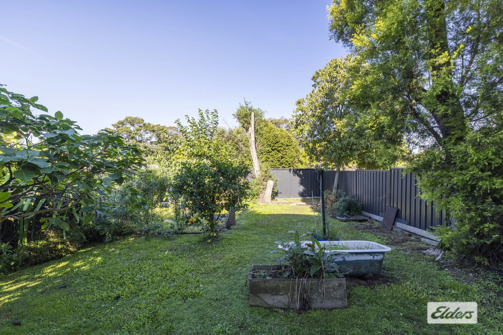 Image 11