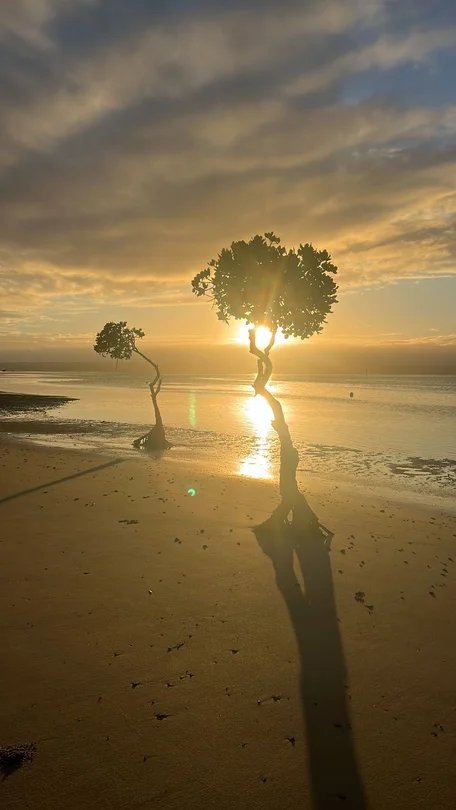 Additional image 2 of 178 Boronia Dr, Poona QLD 4650