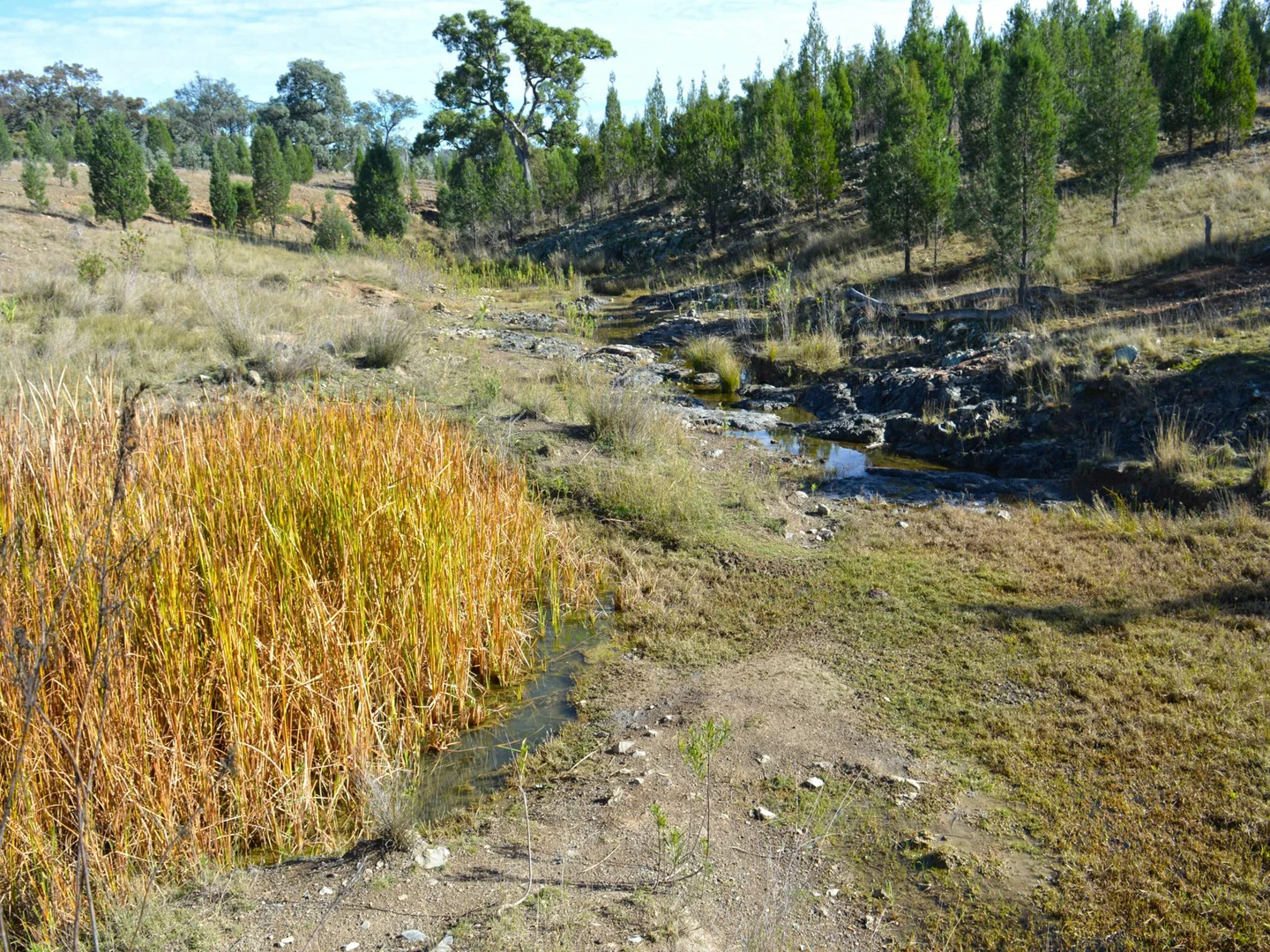 Additional image 15 of Lot 1 Hollybank Road, Inglewood QLD 4387