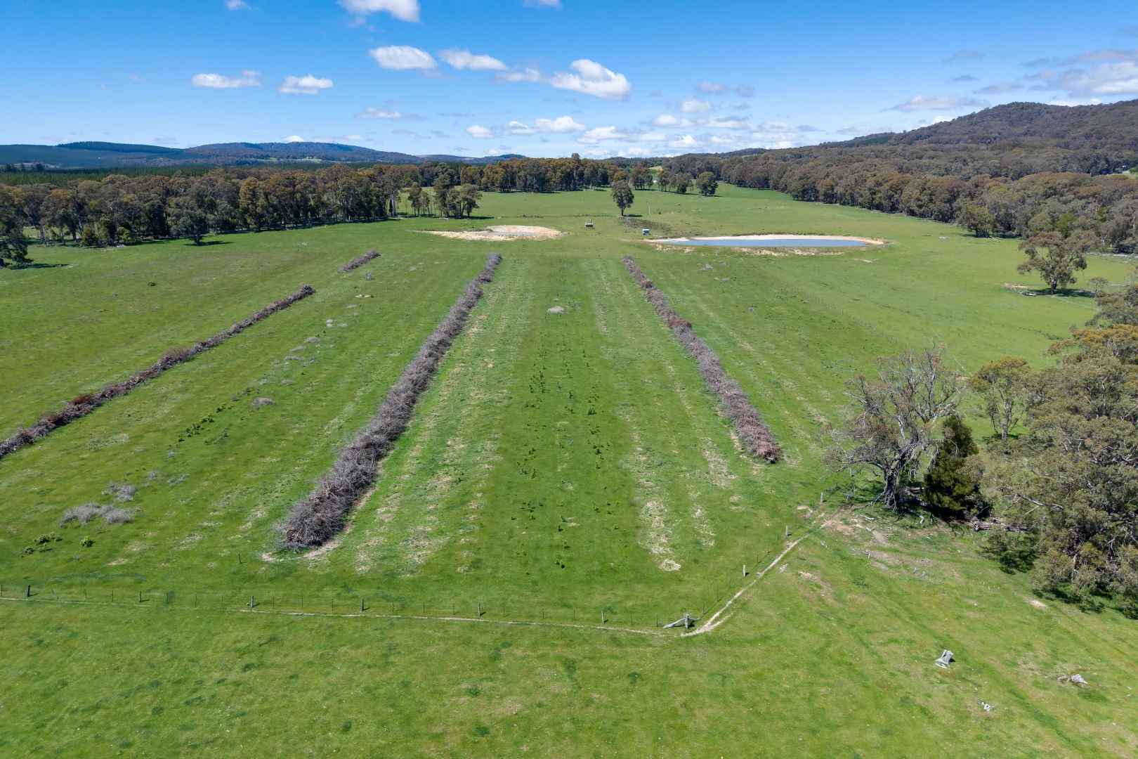 Additional image 11 of 218 Hurdle Flat Road, Beechworth VIC 3747