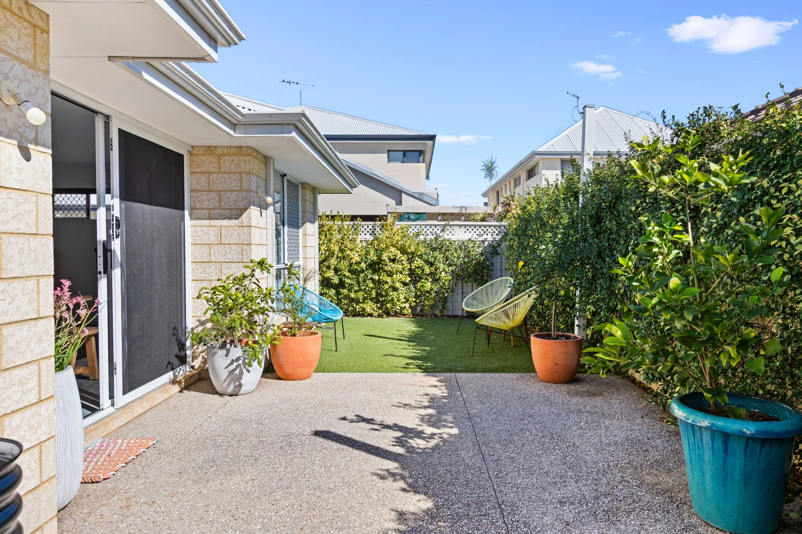 Image 15